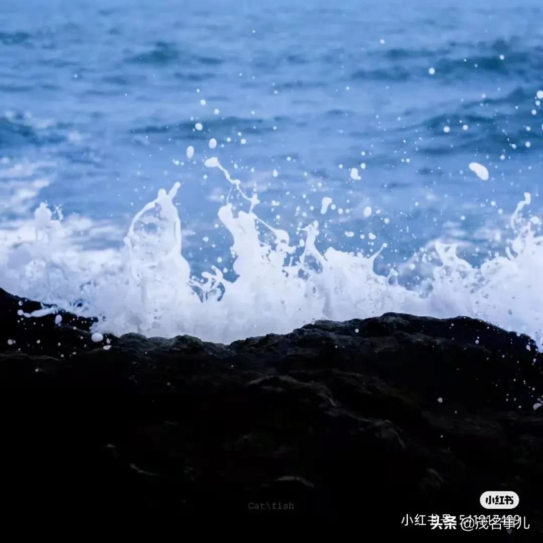 茂名哪个地方热,茂名很漂亮的风景