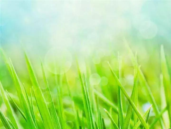 人类粪便或可治疗抑郁症！如果是你，能接受吗？