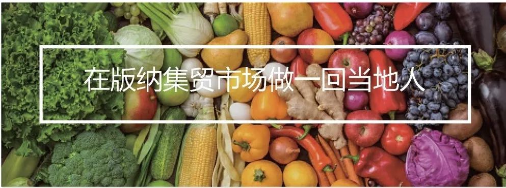 去西双版纳旅居攻略,西双版纳旅居详细攻略