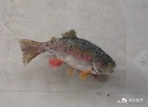 閫忚澶栨寕鐪熺殑鍋囩殑,閫忚澶栨寕鐪熷疄浜嬩欢