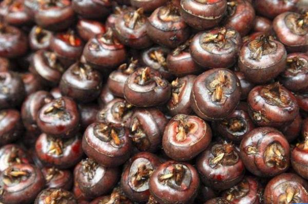 荸荠是生吃好还是煮熟了吃好,荸荠生吃和煮熟哪个更有营养