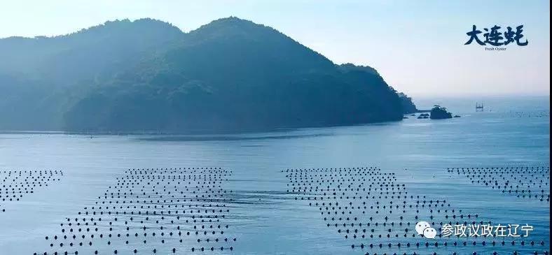 生蚝小镇：醇鲜大连味留香唇齿间