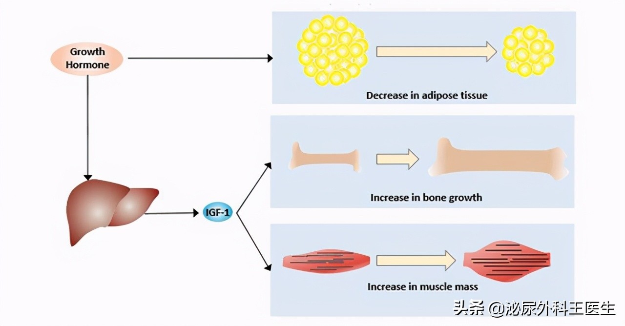 治疗ed需要天天服用西地那非吗,西地那非治疗ed一般吃多久能治愈