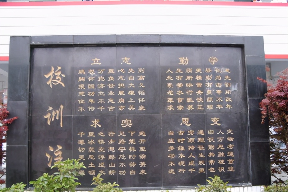 毕节五小学校,毕节五中学校