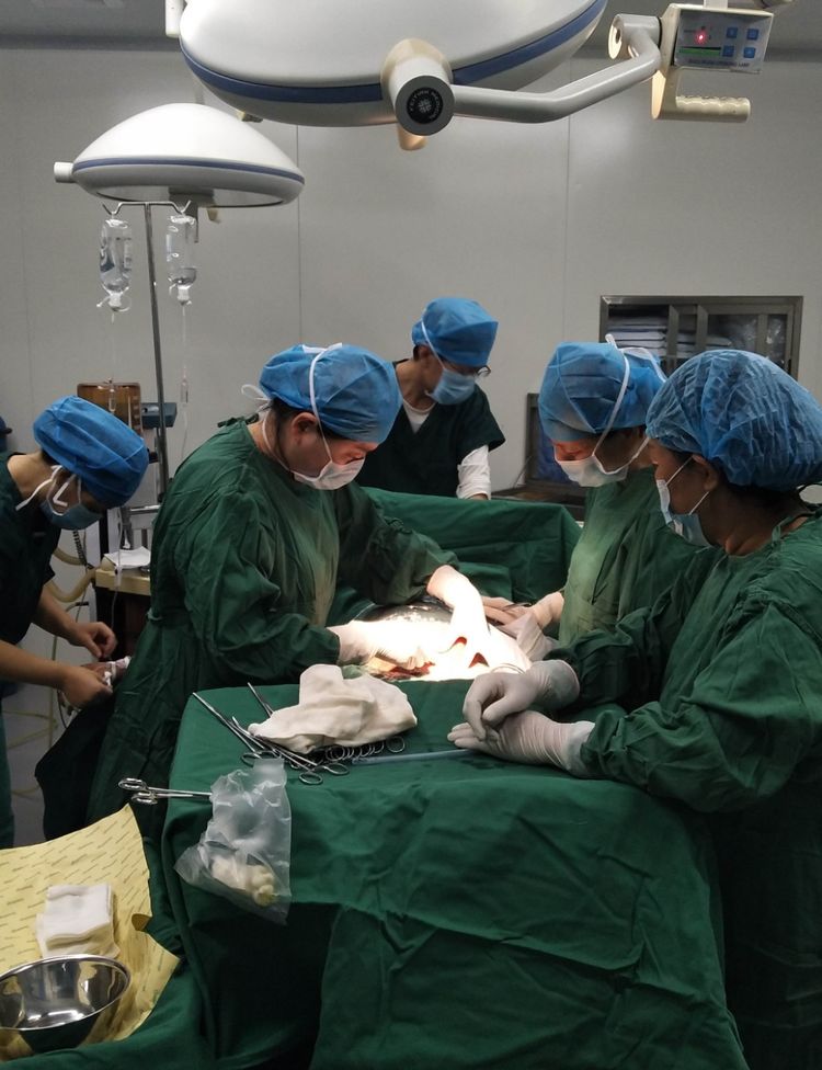 渭南市妇幼保健院妇保科,渭南妇幼保健院产一科