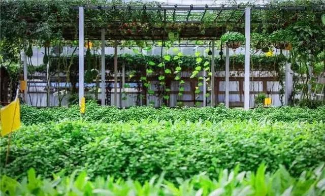 昆明必去的9个烧烤,昆明周边十个烧烤胜地