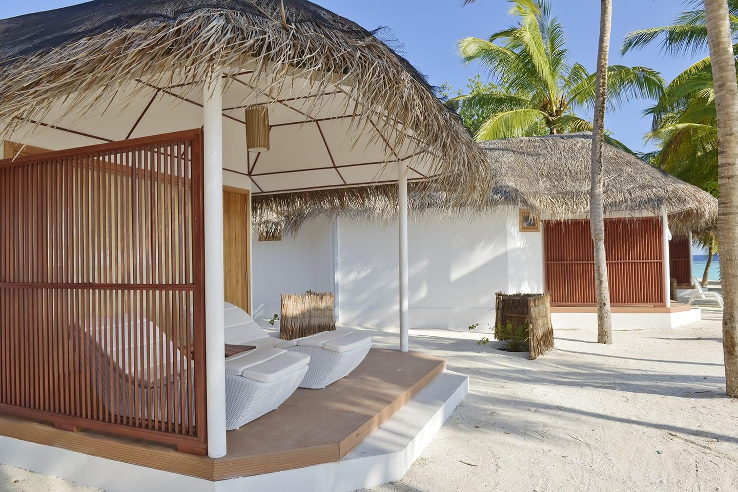 马尔代夫蓝色美人蕉,马尔代夫蓝美人蕉岛