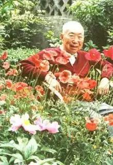 金陵中学哪里最好,金陵中学今日新闻