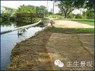 微景观材料的作用,微景观生态材料