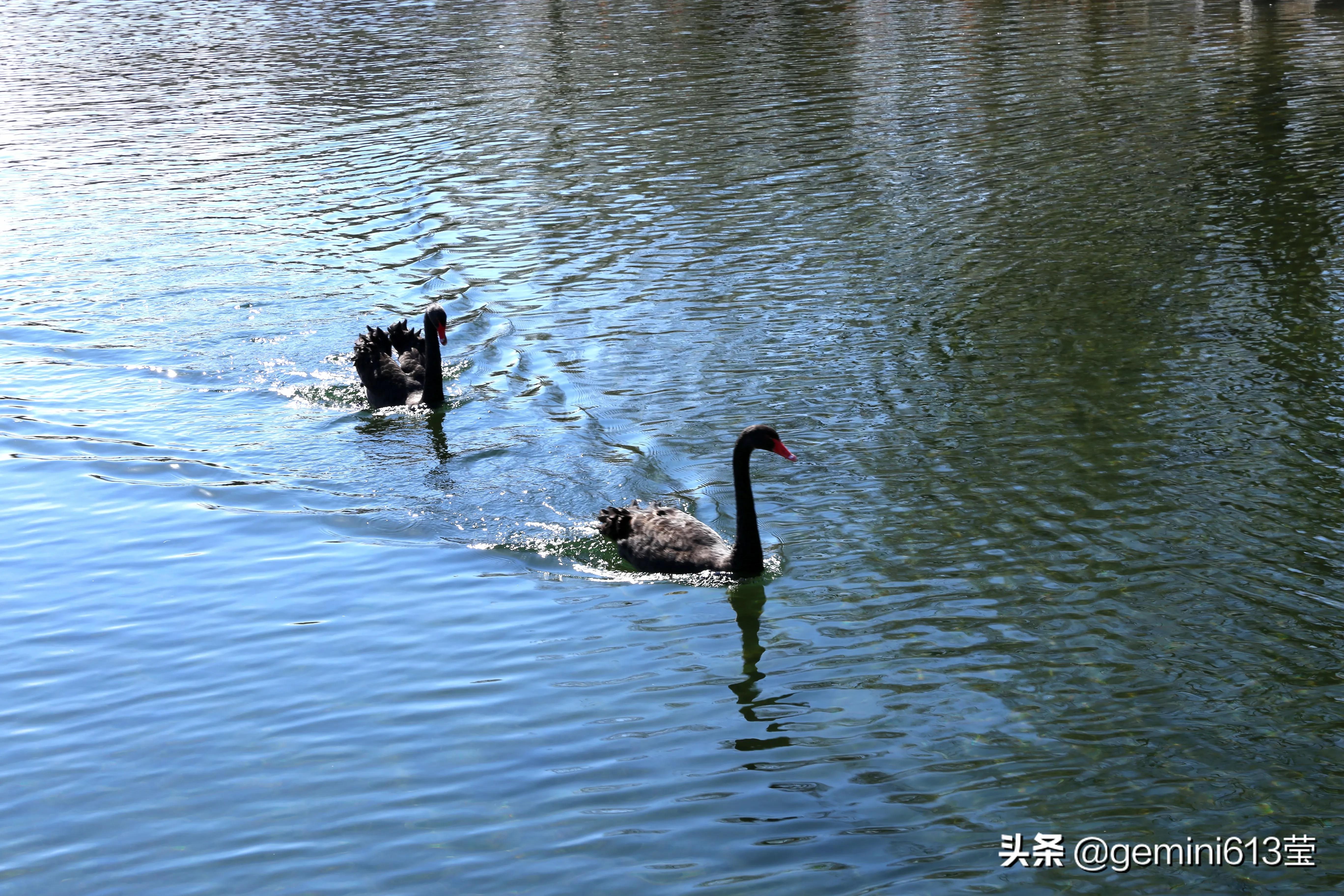 荒废的圆明园,昔日圆明园的辉煌之处