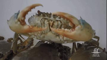 潮汕生腌在本地吃贵不贵,潮汕生腌吃了上头