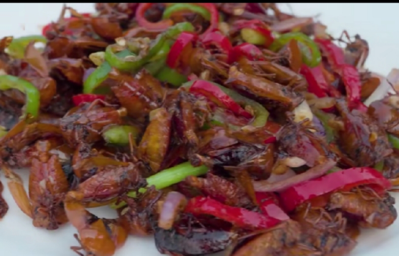 各种虫子美食大总结,关于虫子的重口味美食