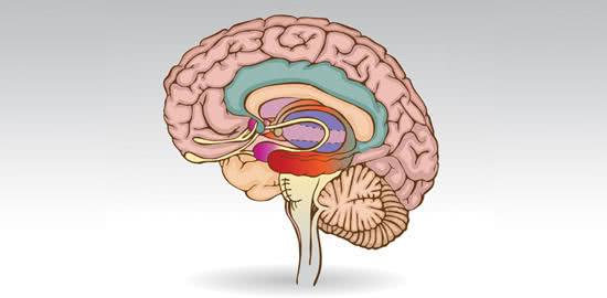 瞳色会因为受伤而改变吗,瞳色浅有什么危害