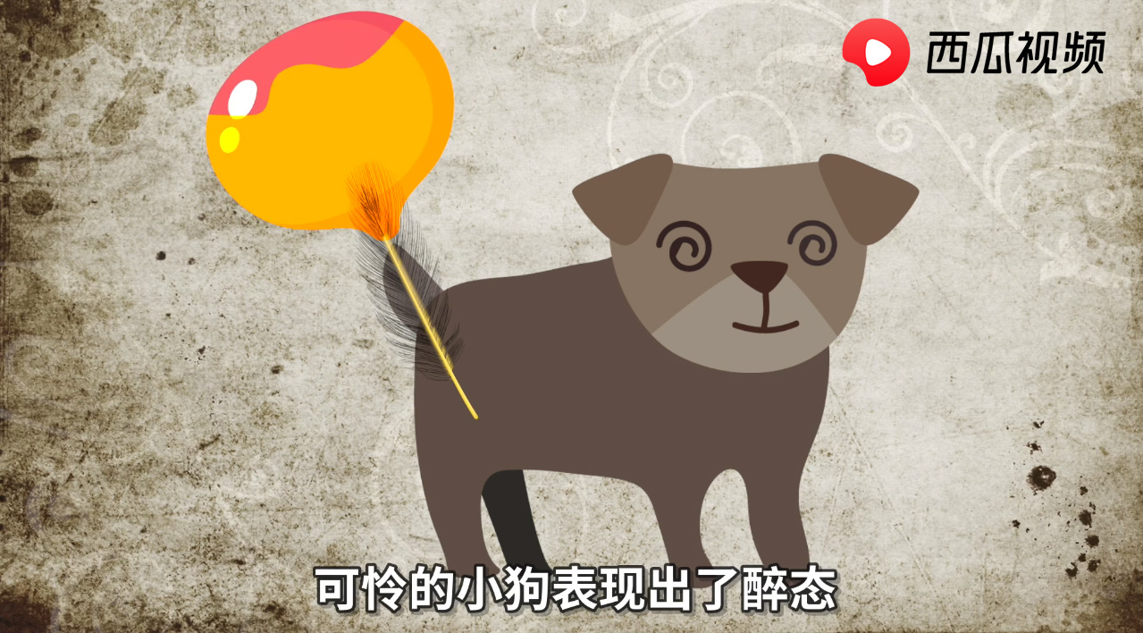 害怕打针是啥体验,西瓜打针是真的吗视频