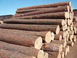 家具工厂原木怎样测量,木工建筑木材怎么识别