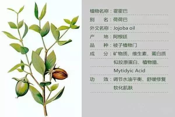 大人脸过敏刺痛能擦宝宝霜吗,大人可以抹小孩的宝宝霜吗