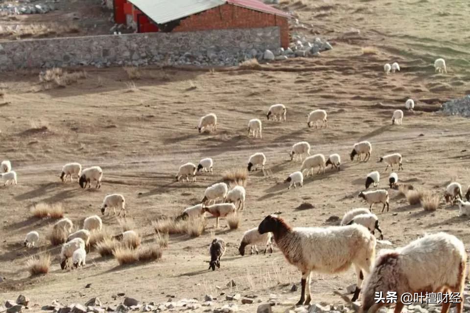 4年A股第一秒杀99.99%公司！唐骏“作妖”背后竟藏大雷？