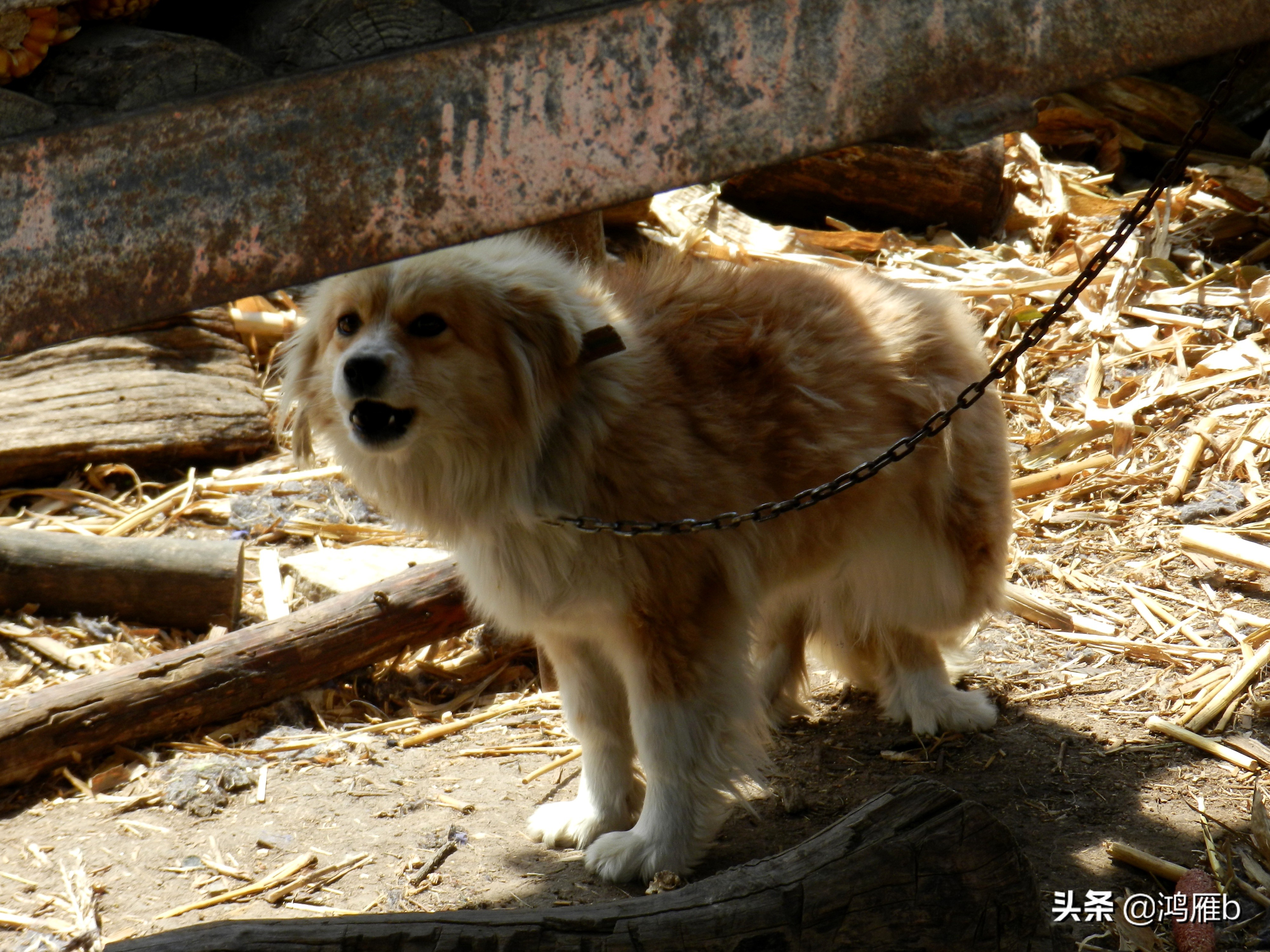 本溪小众秘境,本溪神秘山村