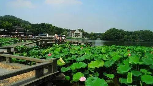 第一次来苏杭旅游必看本地人建议,新手玩游戏的必看