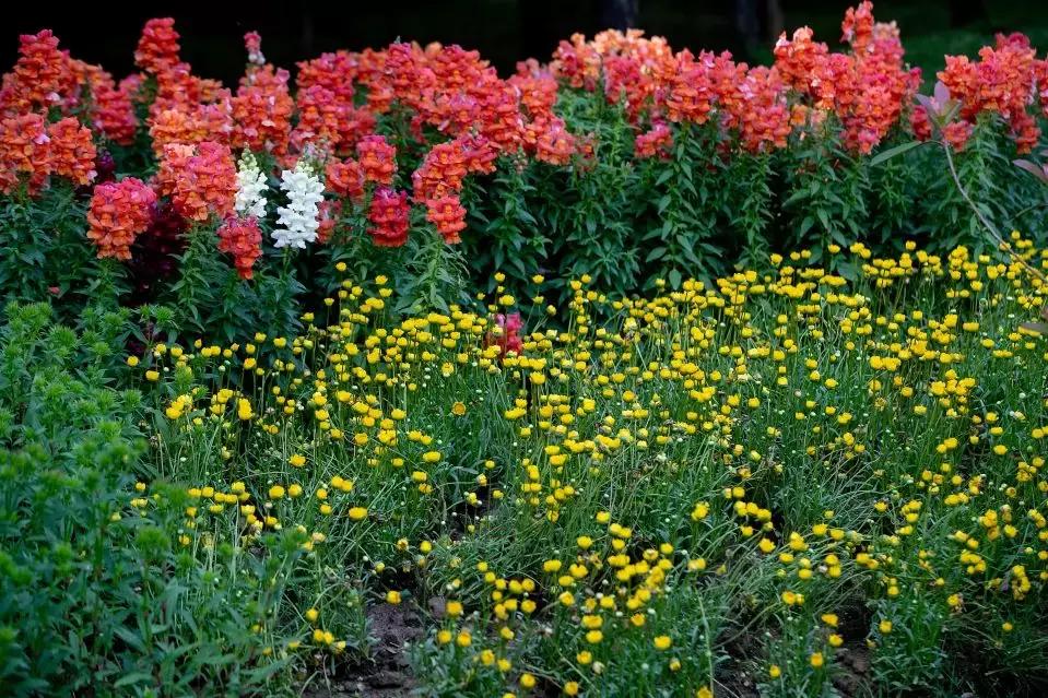 唐城墙遗址公园9区美景视频,西安电子正街的唐城墙遗址公园