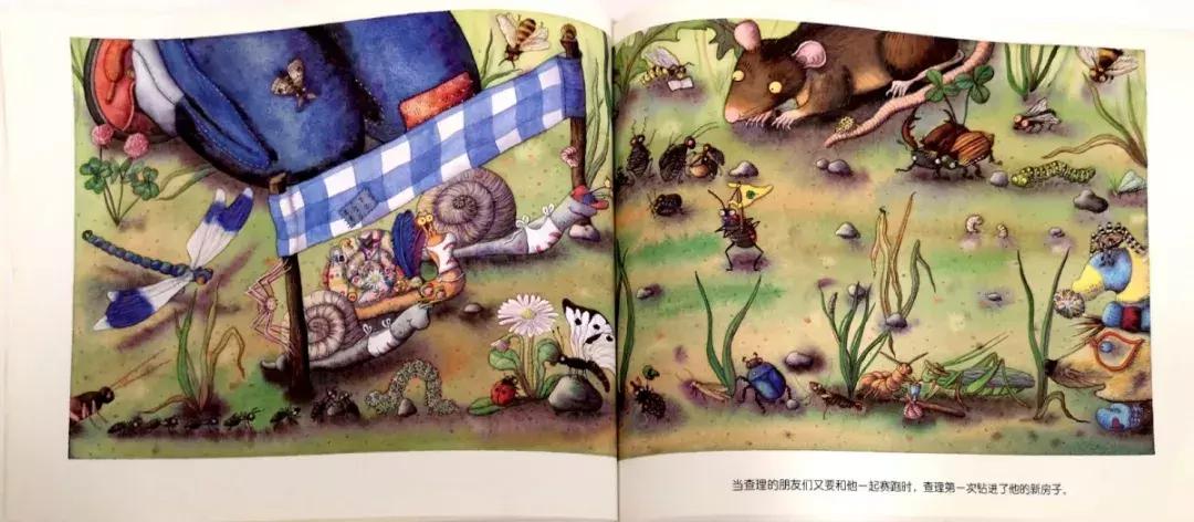 蜗牛躲在小房子里不出来怎么办,没有蜗牛壳的蜗牛是怎么回事