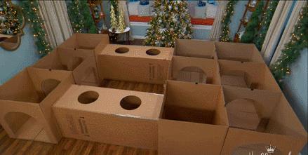 适合长高的运动游戏有哪些,春天的游戏有哪些