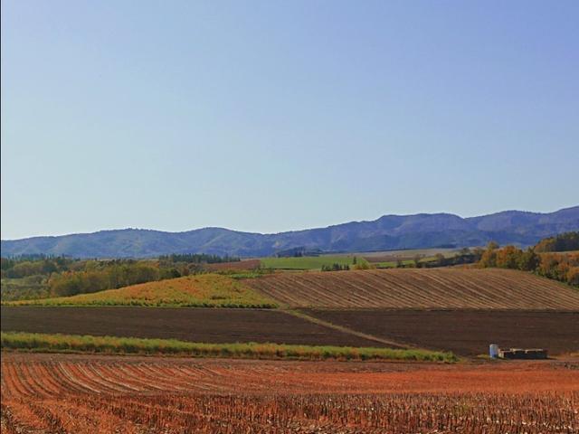 北海道登别到美瑛町需多久,日本北海道美瑛川的雪景