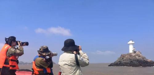 洪紫千出海记完整版 (出海记洪紫千视频)