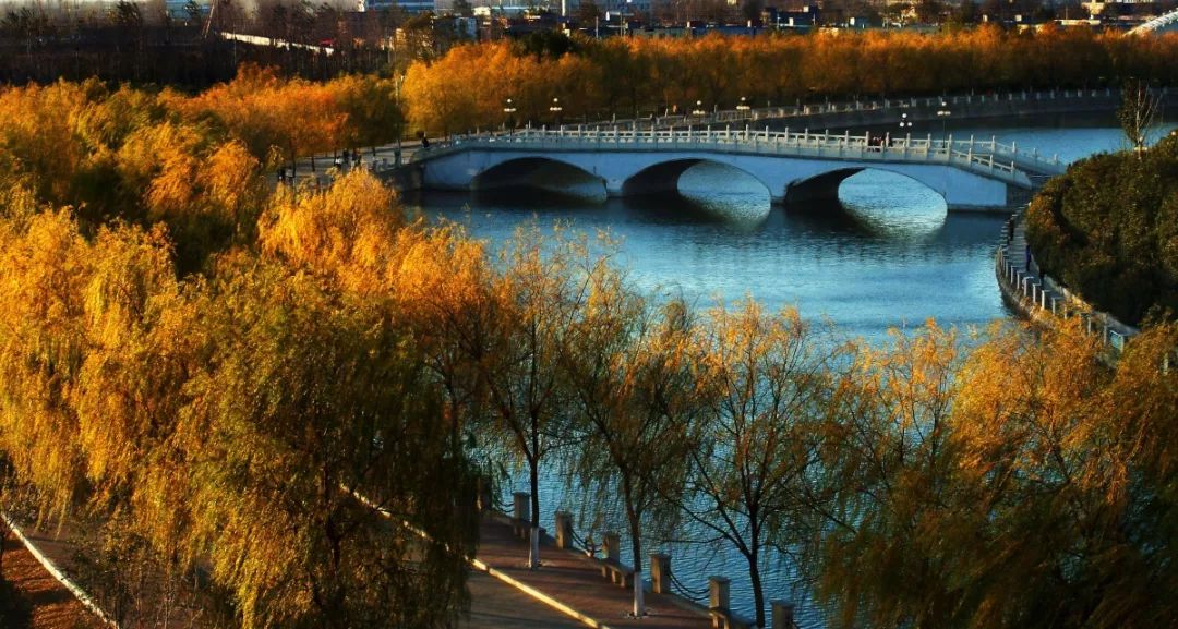 河南理工大学110周年直播,河南大学110周年生日快乐