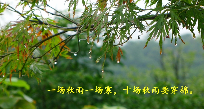 小学语文知识拓展练习册,小学语文第11课彩虹