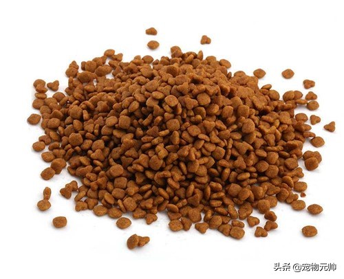 小狗腹泻能喝葡萄糖么,小狗腹泻需要输什么液体