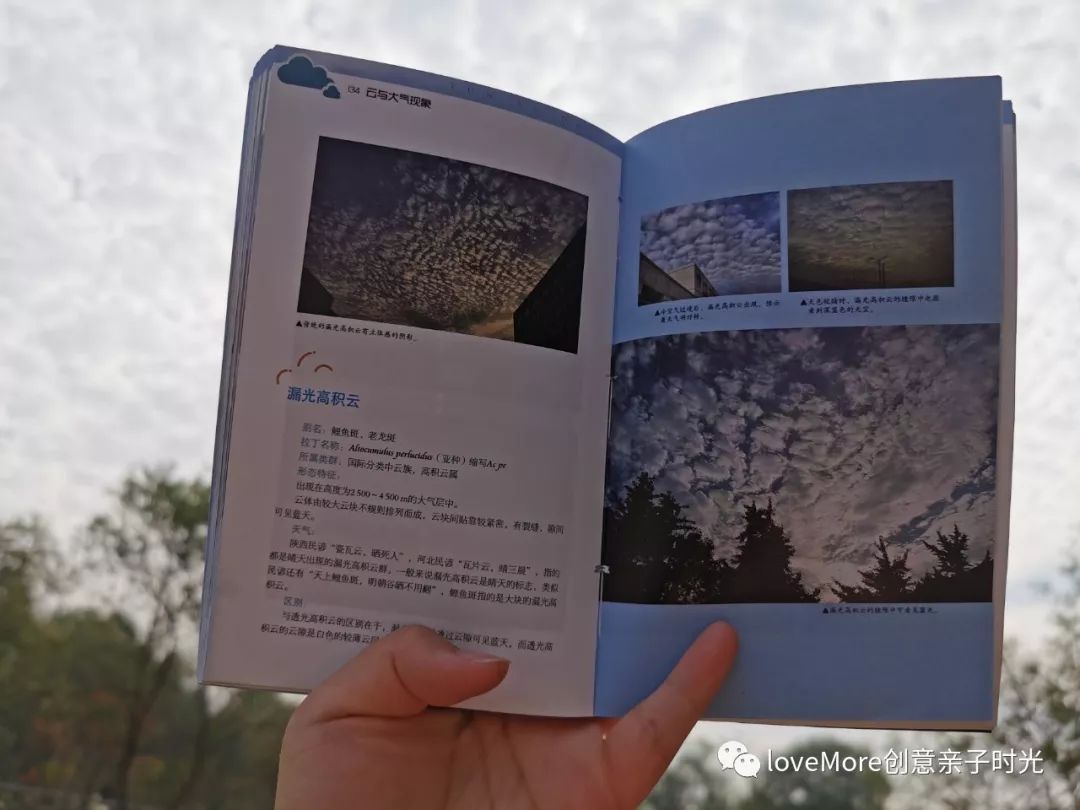 「和More妈聊聊天」最近新发现的好物推荐