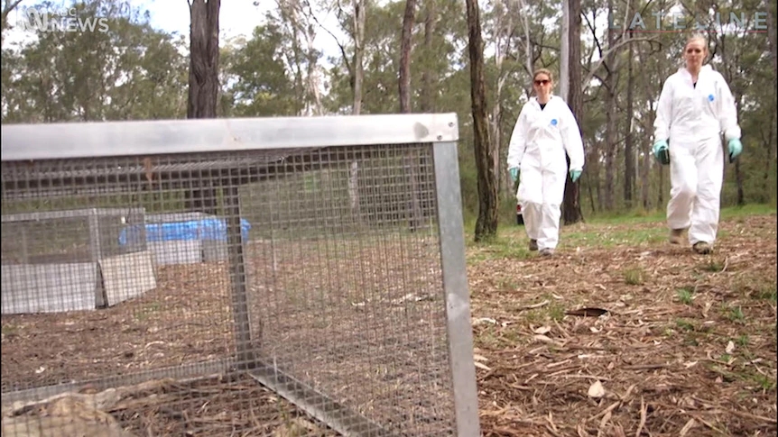 尸体移动实验,尸体死后为何还会动