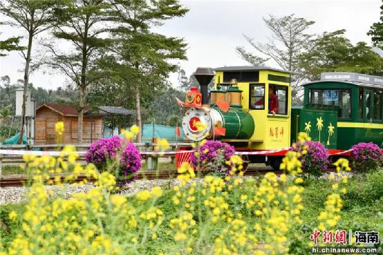 过年期间海南攻略,海南旅游过年攻略视频教程