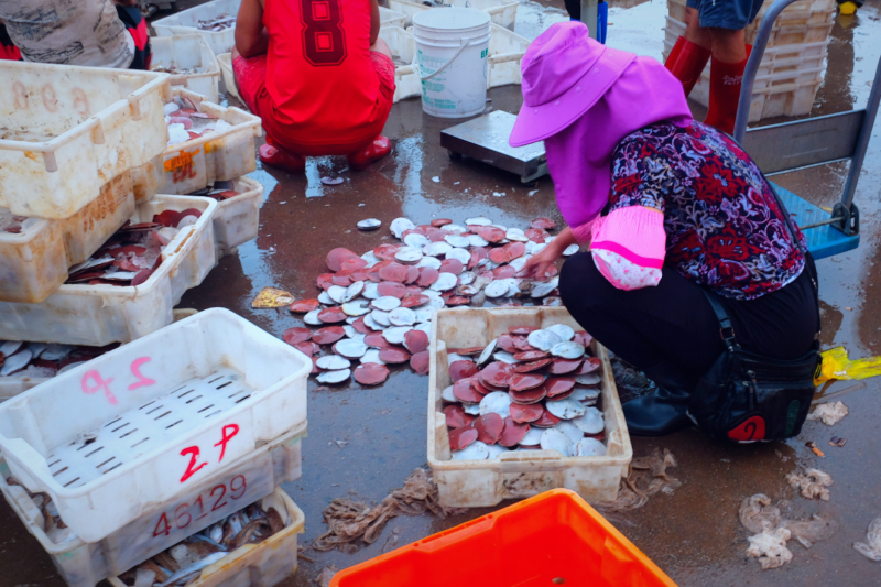 广东湛江旅游攻略美食,湛江旅游海鲜推荐一下