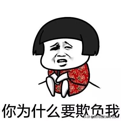 为啥狗去宠物店洗澡就老实了,狗为什么要去宠物店洗澡