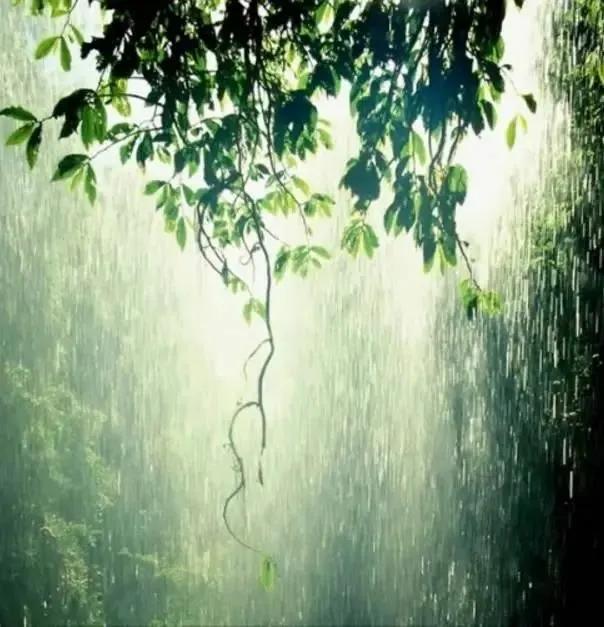 雨中的悲伤歌曲,雨中的悲伤bgm