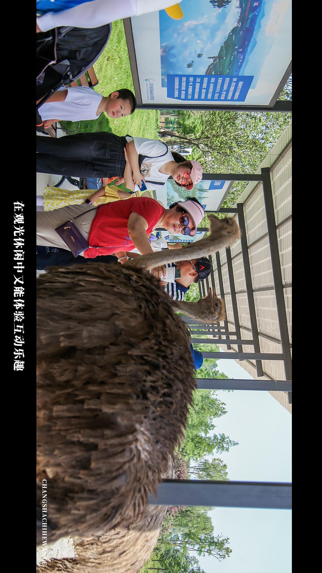 田园低空飞行,田园采摘之旅