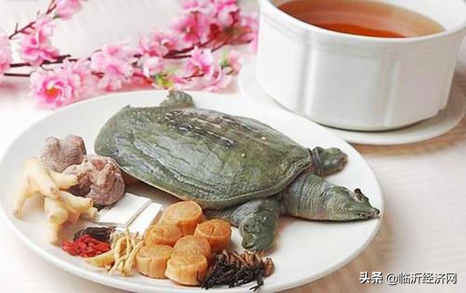 临沂金牌啤酒有哪些,临沂寻找特色美食