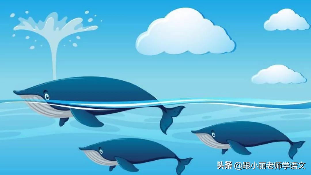 语文思维导图四年级上蝙蝠和雷达,人教版四年级上册蝙蝠和雷达朗读