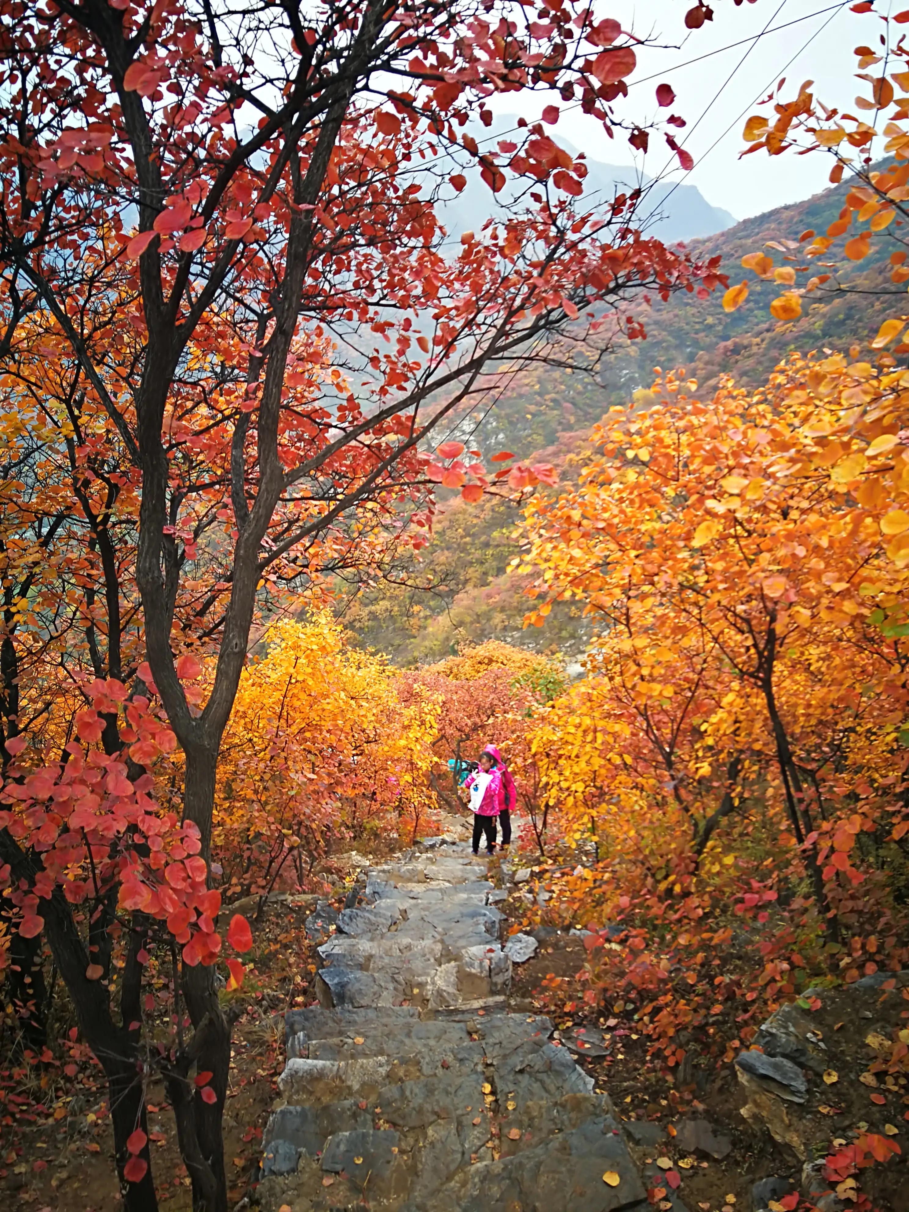 房山药王谷门票,房山药王谷风景区