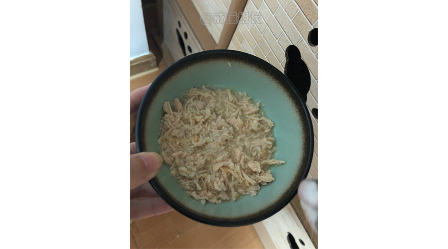 猫吃主食罐头好还是猫粮好,猫零食罐头和主食罐头的区别