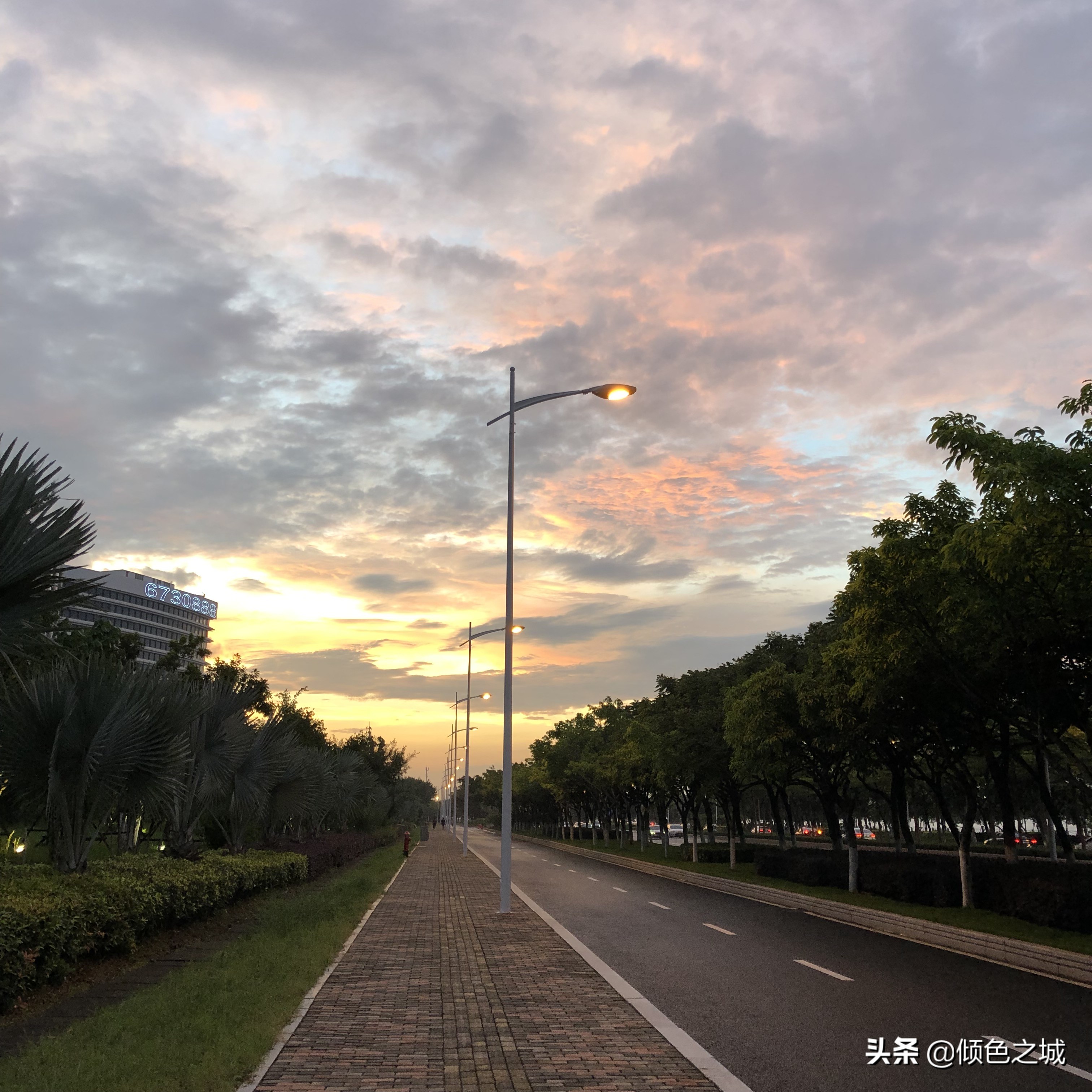 厦门逸林希尔顿酒店附近的景点,厦门希尔顿逸林酒店攻略