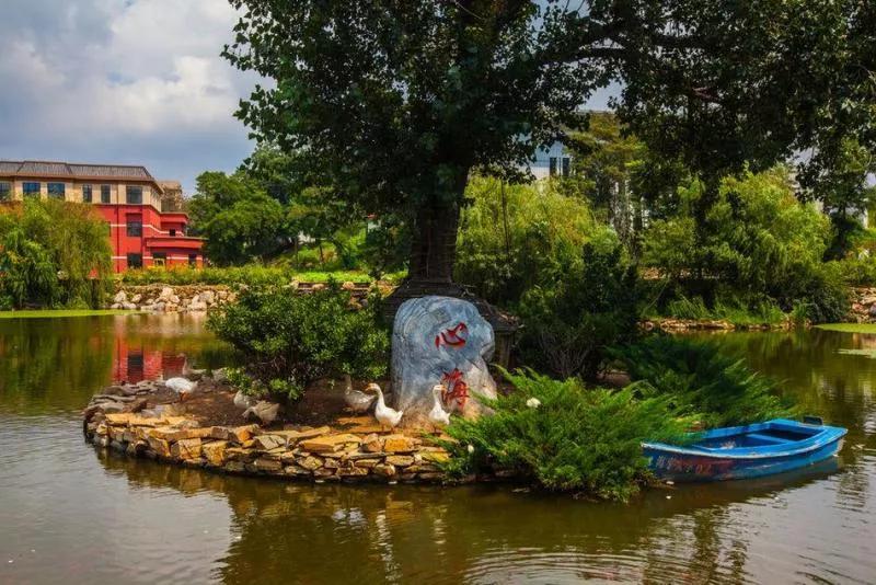 大连海事大学和辽宁省哪个级别高,大连海事大学辽宁省大学排名