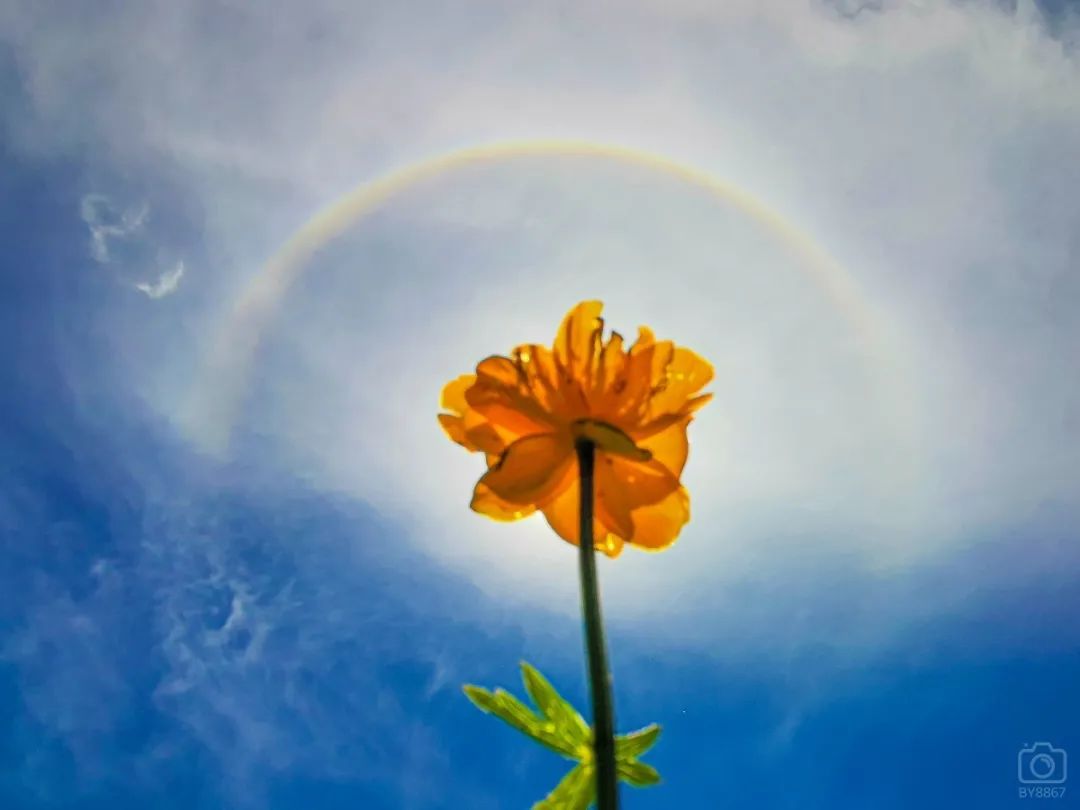 徒步穿越北驼梁完整版,穿越花海古道游记