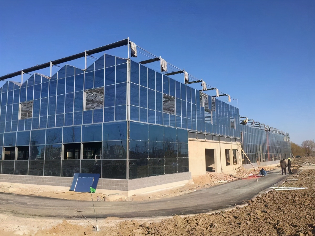 农业连栋温室大棚补贴标准,吉林连栋温室大棚一亩地多少钱