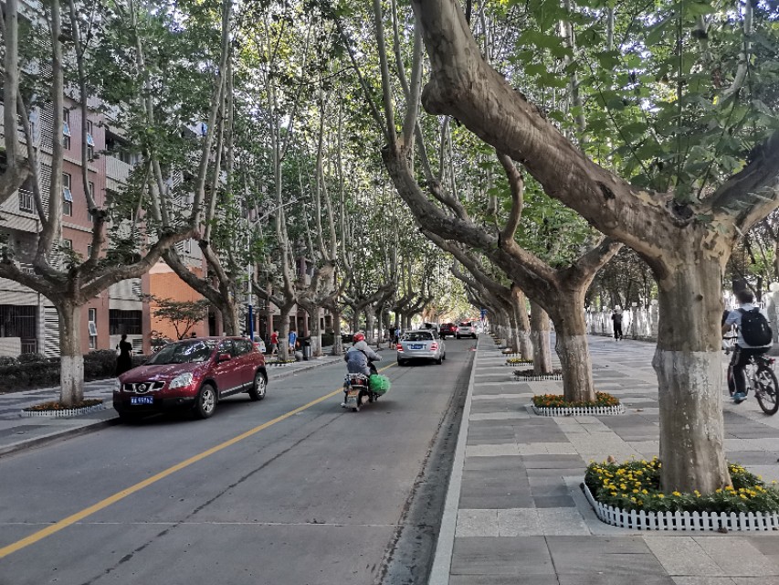 高情商管理,高情商管理下属