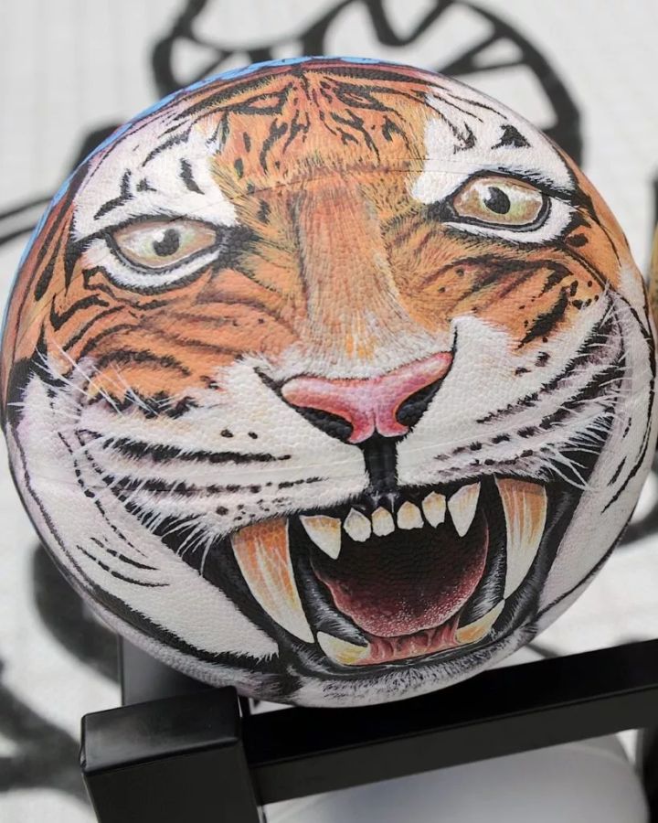 puma篮球新兴势力,puma篮球鞋发展