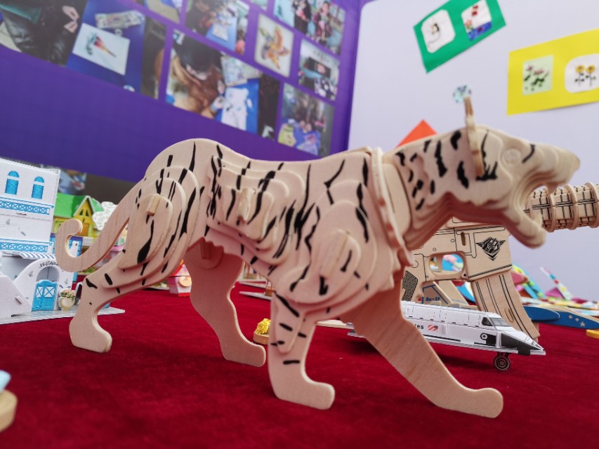 校园足球杯圆满落幕,华奥杯校园足球联赛