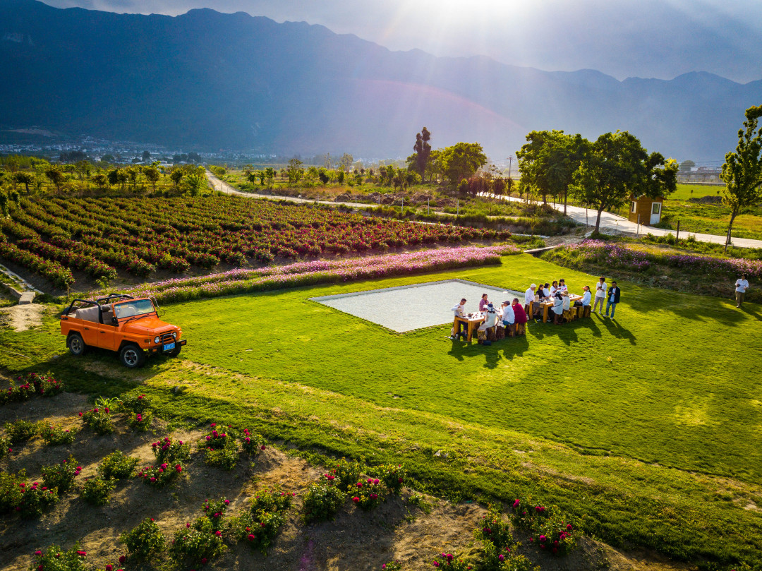 大理自由行攻略推荐,没有攻略的大理旅游